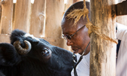 A Mobile Veterinarian in Kenya