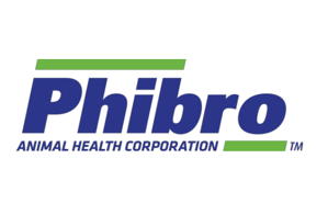 fibro