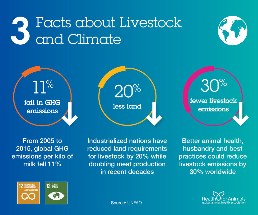 3 facts about livestock and climate