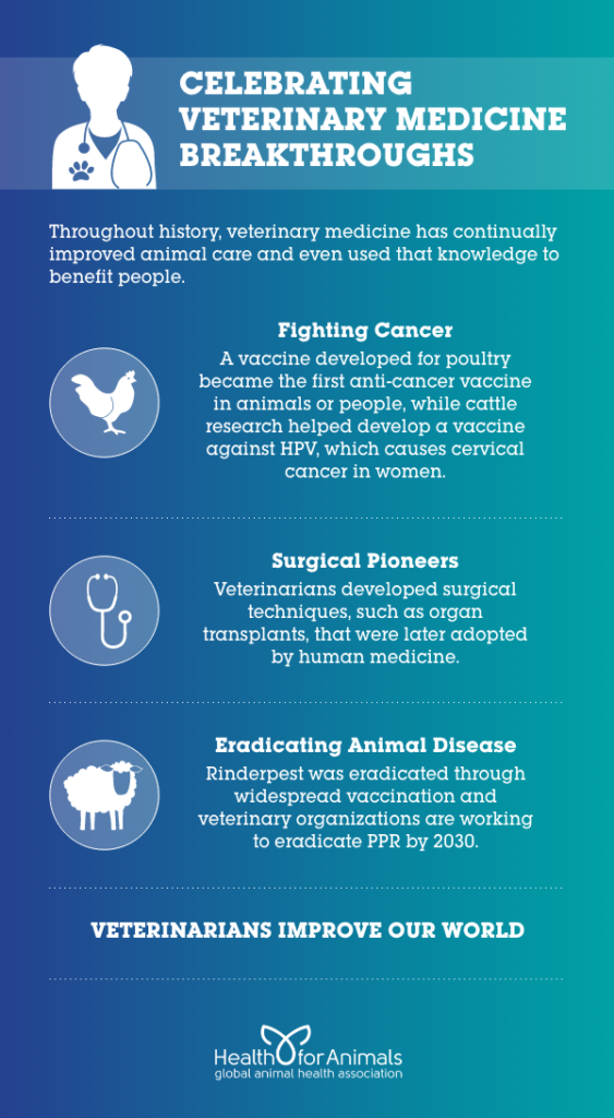 Celebrating Veterinary Medicine Breakthroughs