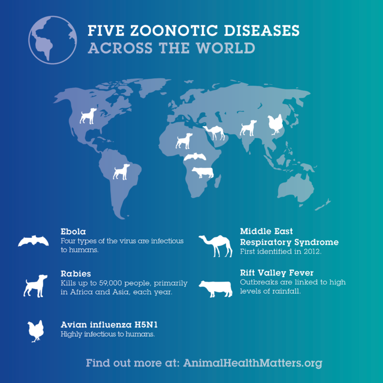 Five Zoonotic Diseases Across the World HealthforAnimals