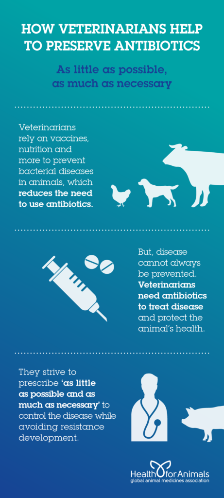 How Veterinarians Preserve Antibiotics