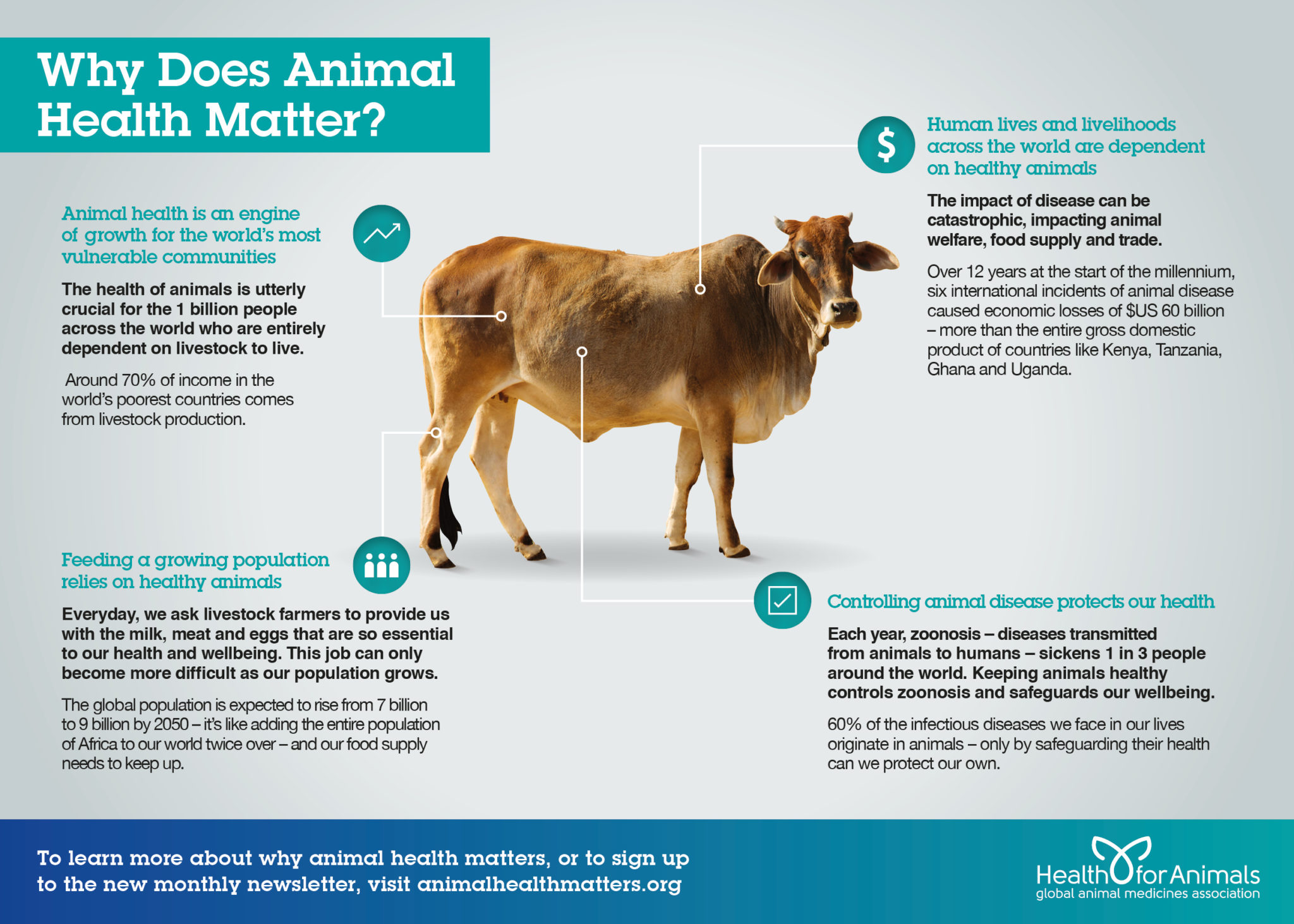 why-does-animal-health-matter-healthforanimals