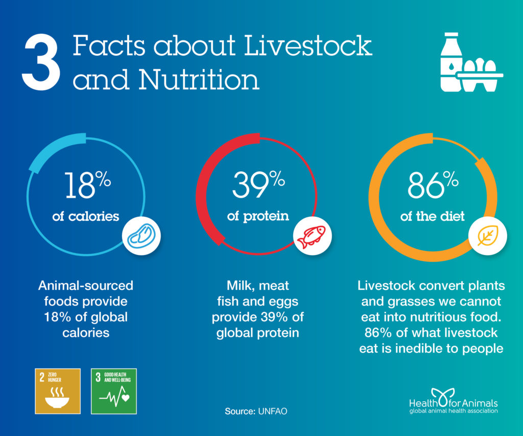 3 facts about livestock and nutrition