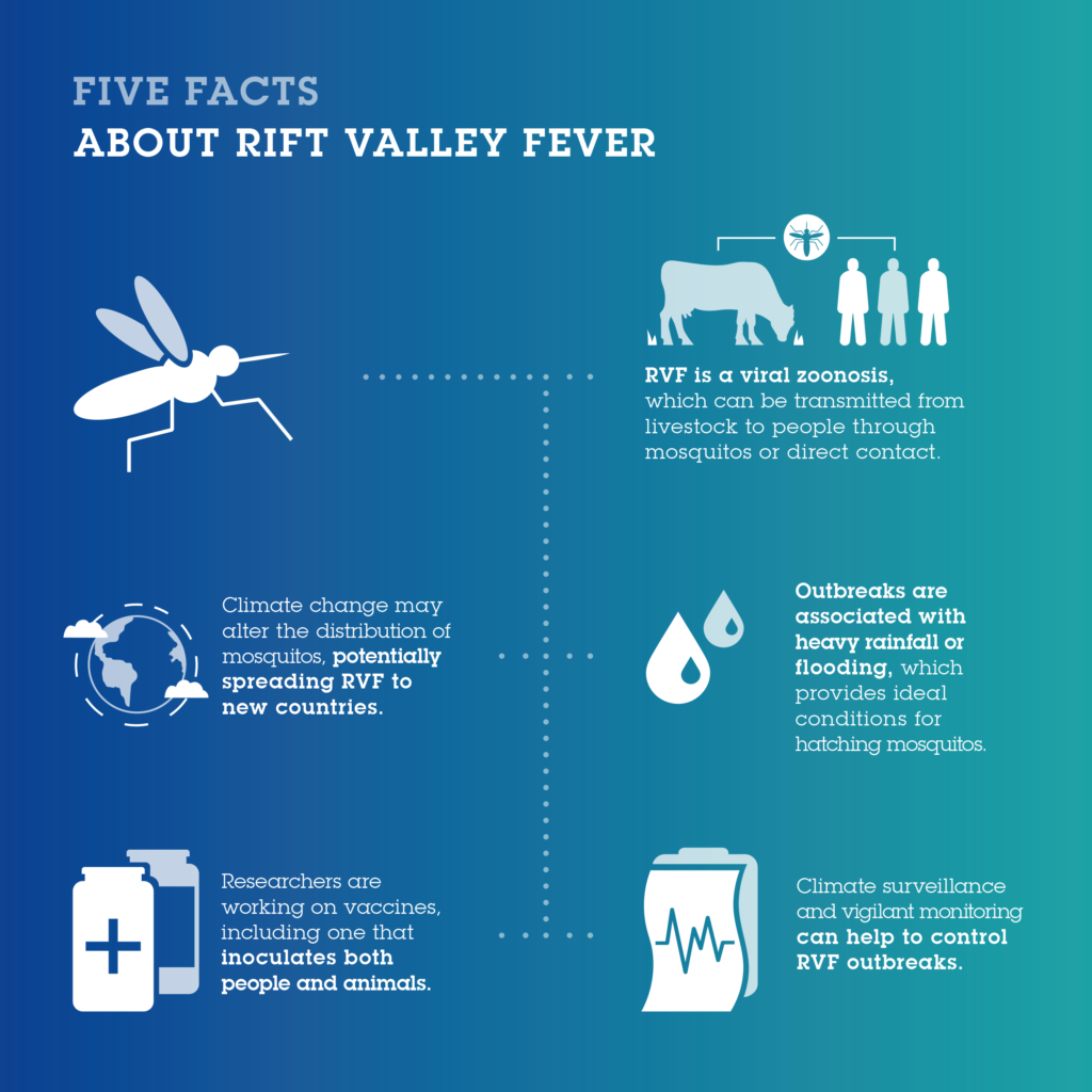 Five Facts about Rift Valley Fever