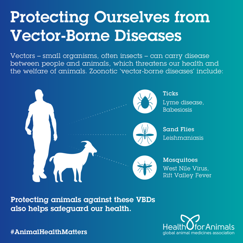 Protecting Ourselves from Vector Borne Diseases