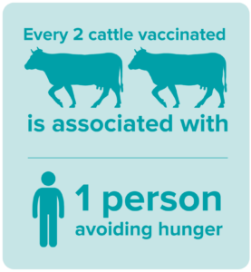 Every 2 cattle vaccinated is associated with 1 person avoiding hunger