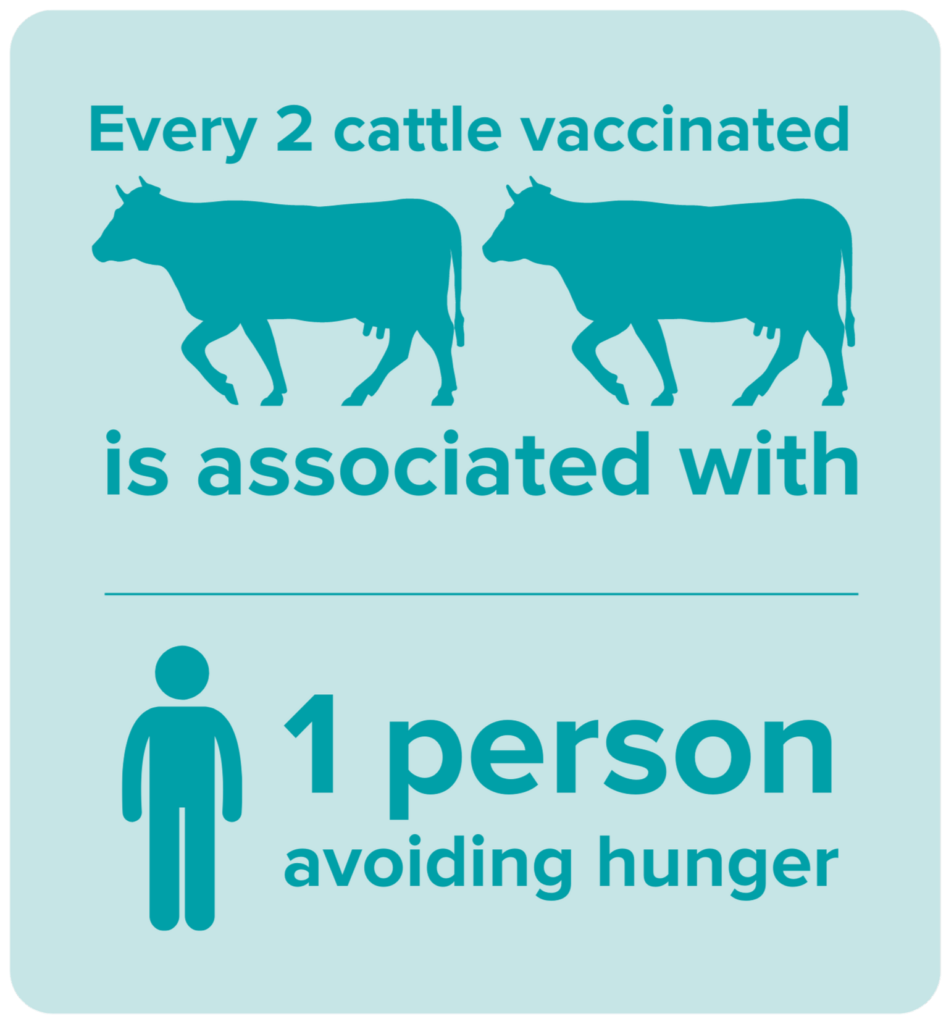 Every 2 cattle vaccinated is associated with 1 person avoiding hunger