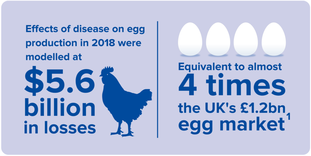 Effects of disease on egg production in 2018 were modelled at $5.6 billion in losses. Equivalent to almost 4 times the UK's £1.2bn egg market